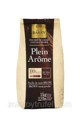 Алкализованный какао порошок 22/24 % Plein Arome, Cacao Barry