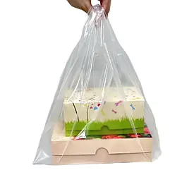Пакет прозрачный с ручкой 30*45 см